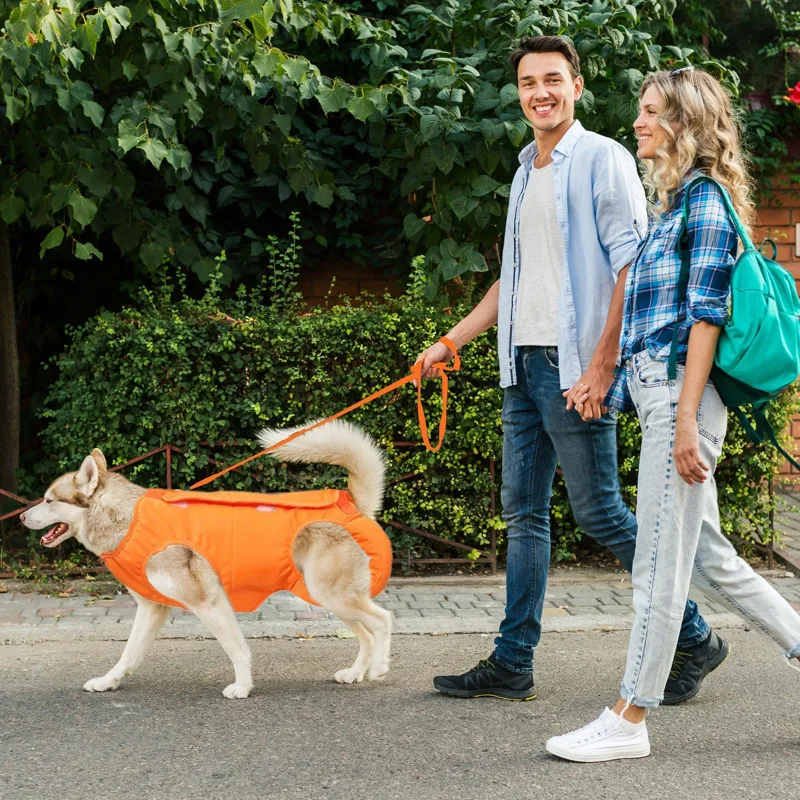 Large Dog Sling Carrier Dog St - огляд і ціна Ladder Toss Set