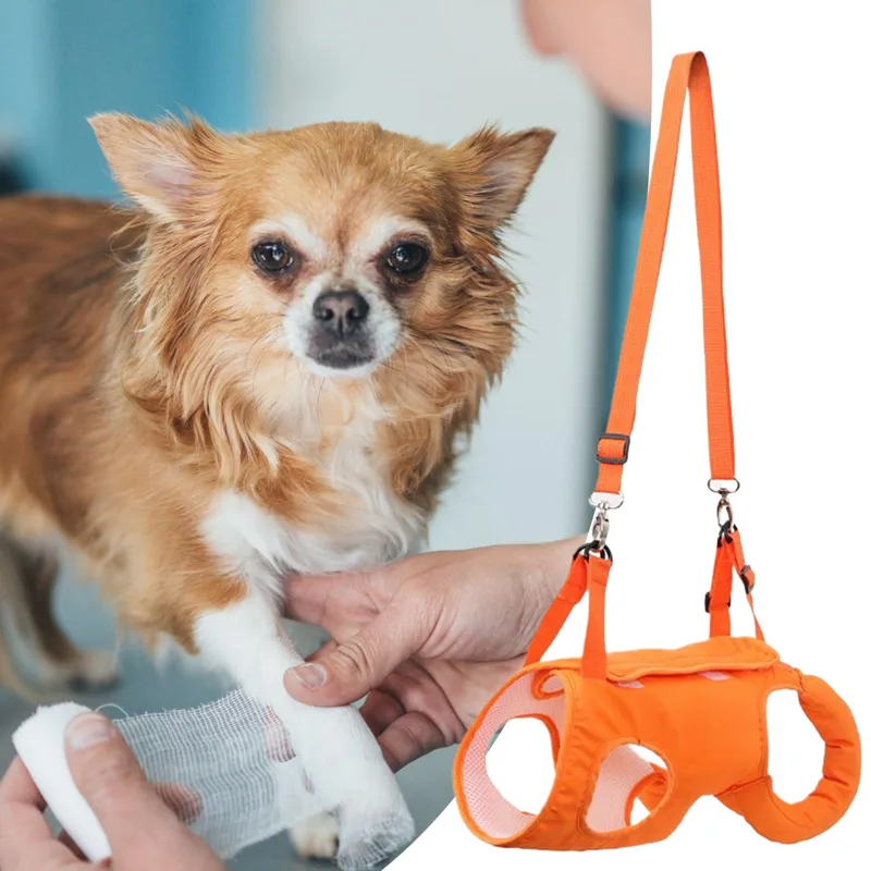 Large Dog Sling Carrier Dog St - огляд і ціна Ladder Toss Set