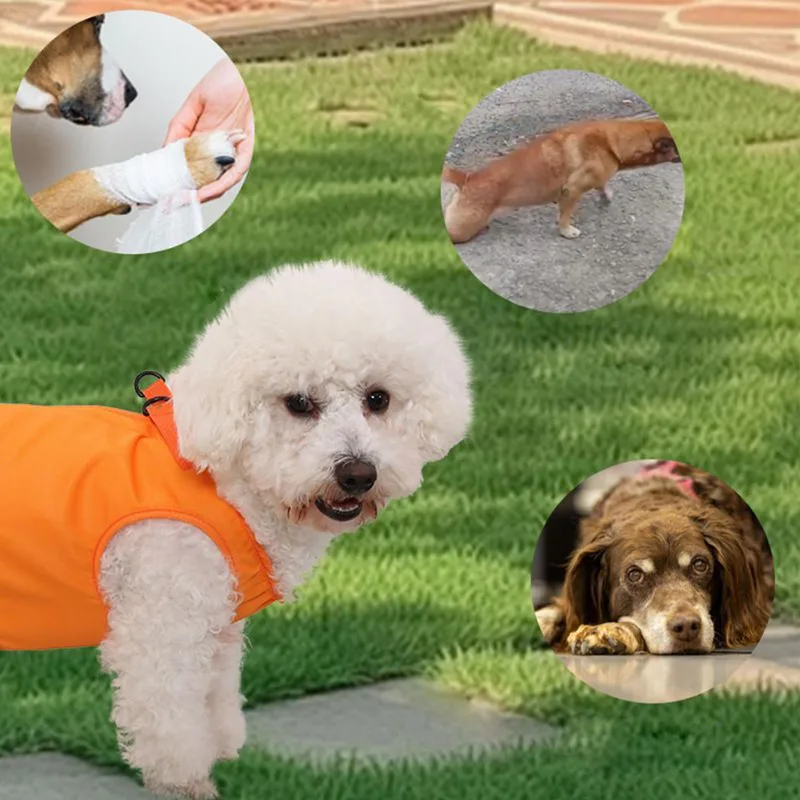 Large Dog Sling Carrier Dog St - огляд і ціна Ladder Toss Set